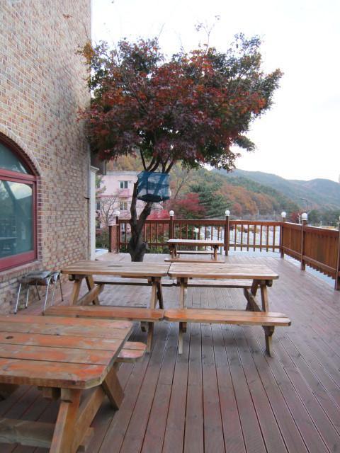 Motel Songwol Park Sokcho Exterior foto