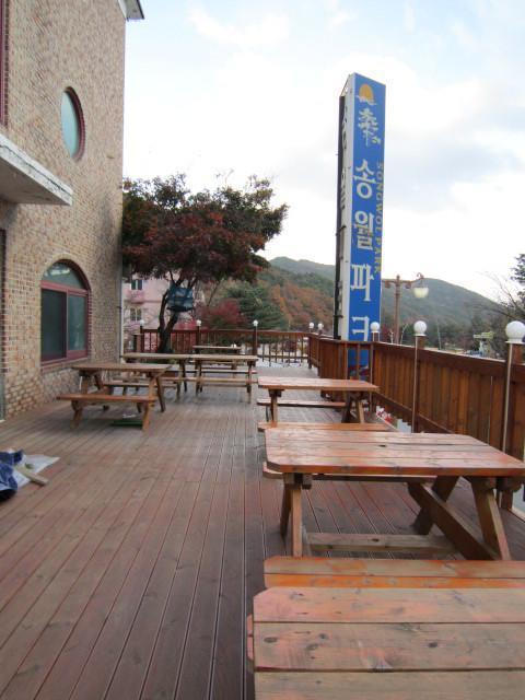 Motel Songwol Park Sokcho Exterior foto